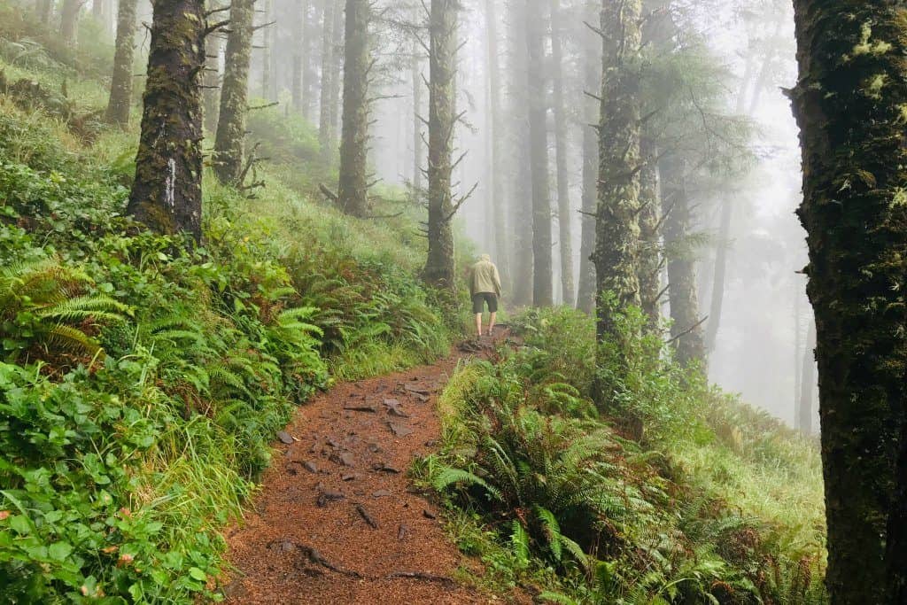 Family Friendly Hikes in Ecola State Park