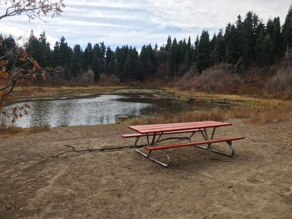 Picnic area at Green Pond