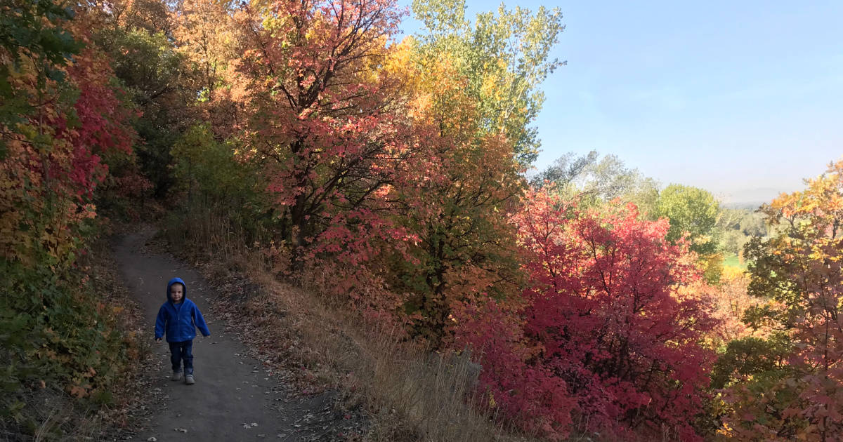 Birdsong Trail Utah