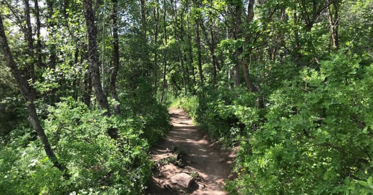 Green Pond Trail Utah