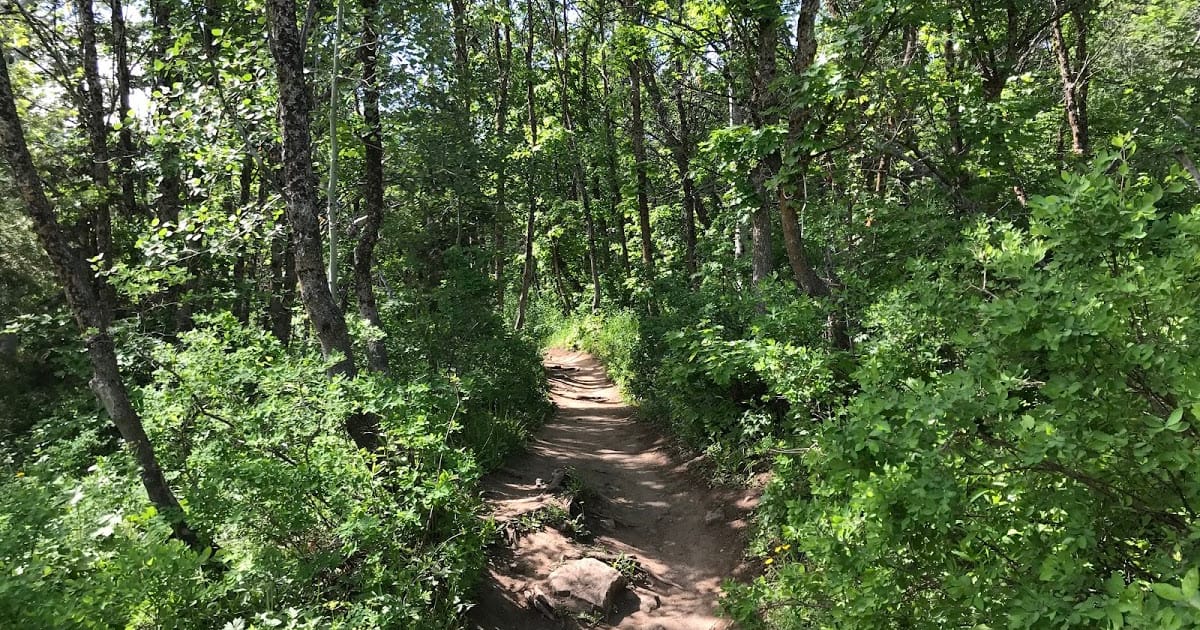 Green Pond Trail Utah