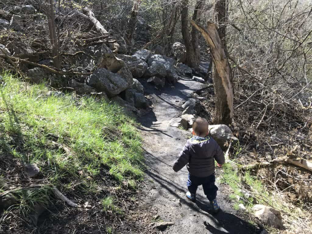 Quail Loop Trail Kid Friendly