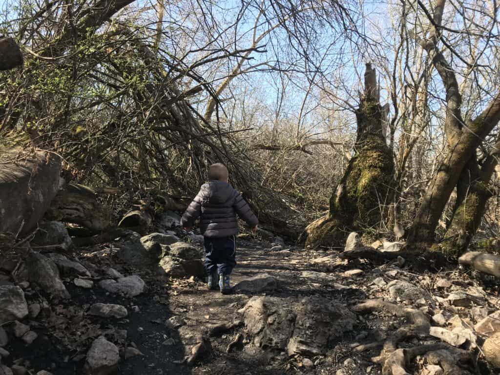 Quail Loop Trail Ogden Spring