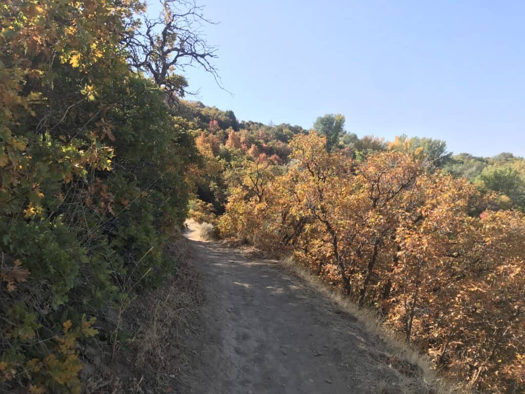 Trail shot of Birdsong Trail