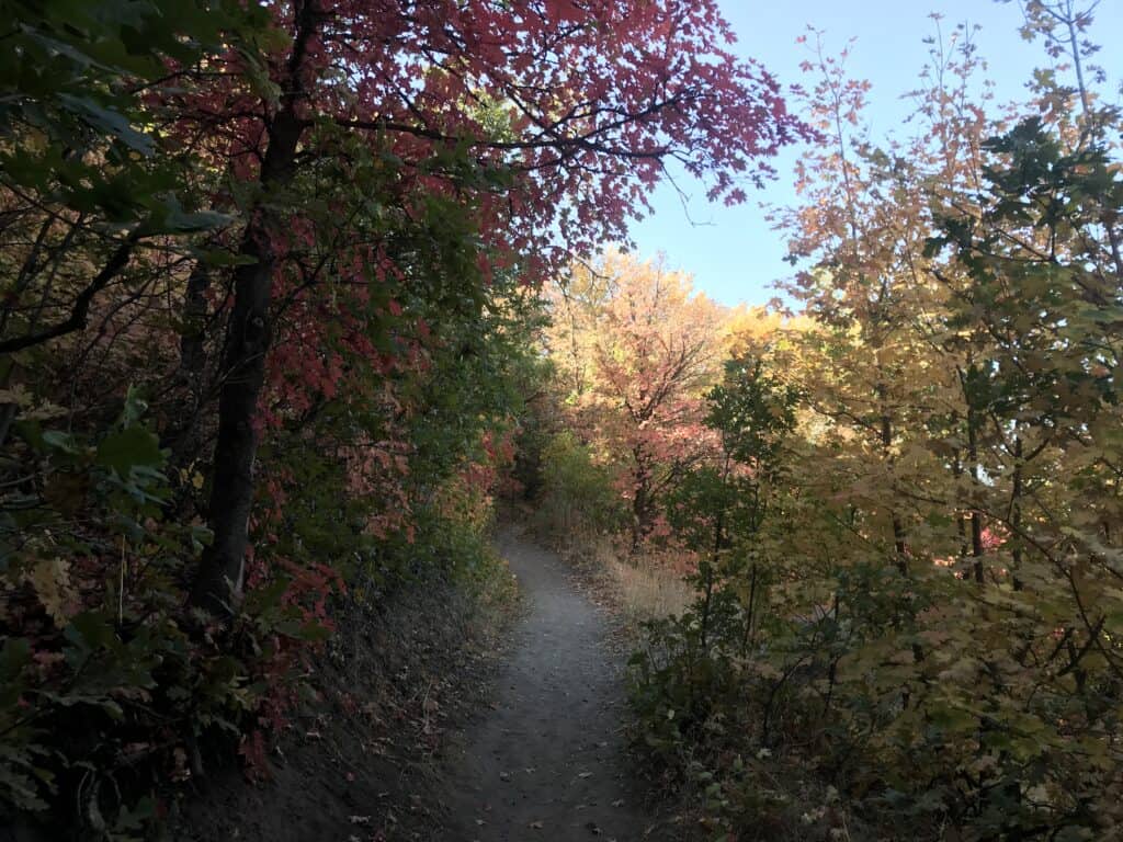 Fall colors at Birdsong Trail