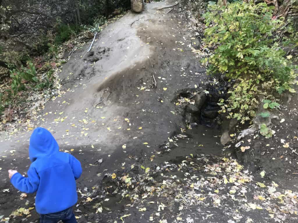 Stream at Birdsong Trail