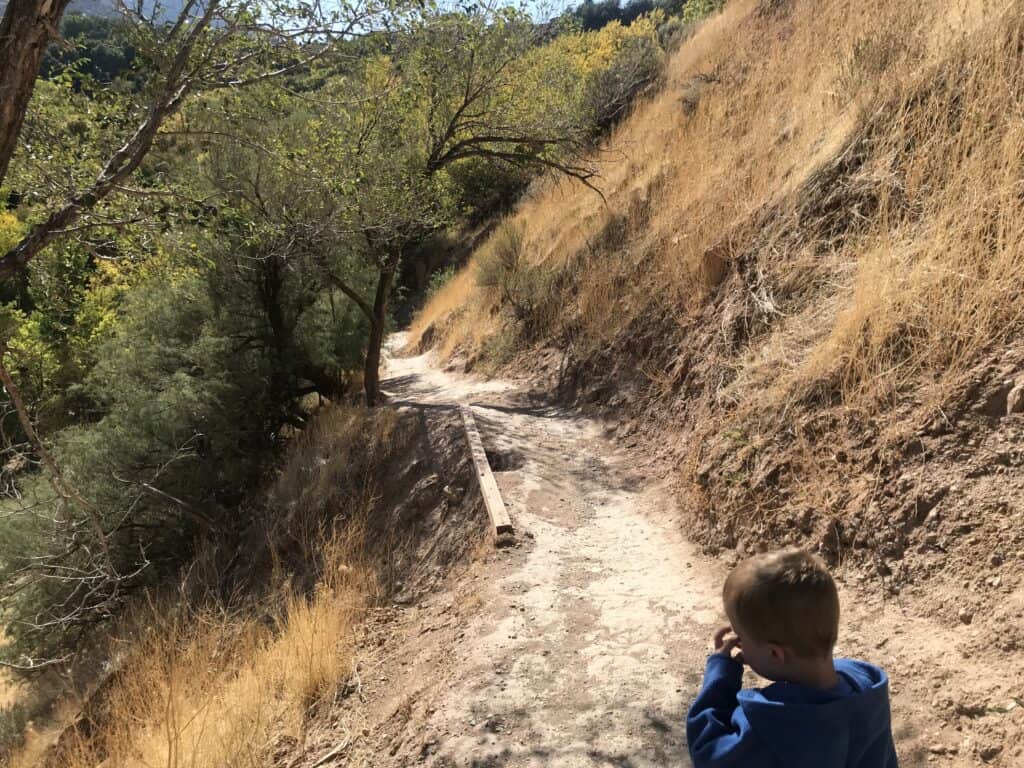 Erosion on Birdsong Trail