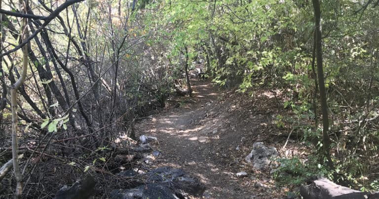 Quail Loop Trail Ogden Utah