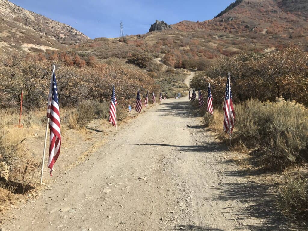 flag lined entrance