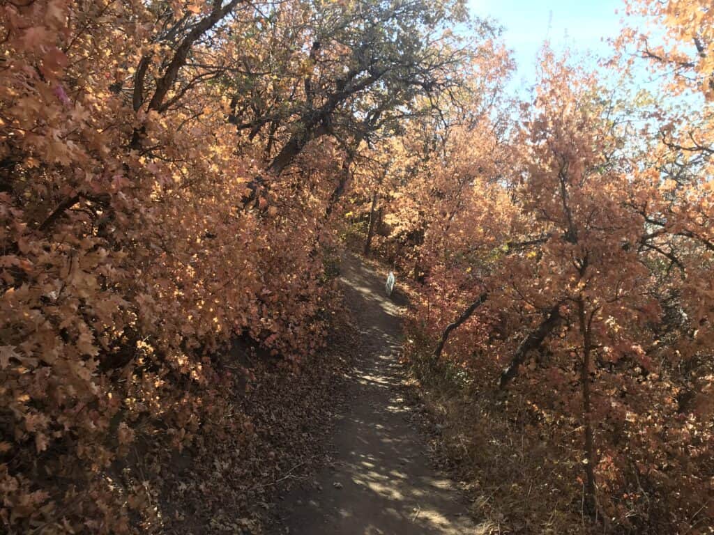 coldwater creek trail