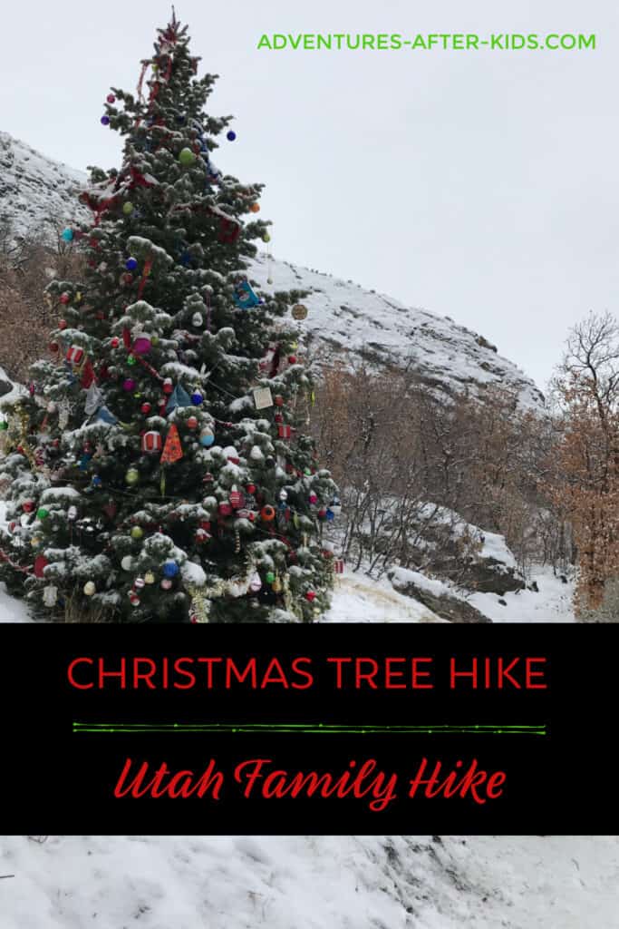 Bonneville Shoreline - Christmas Tree Hike