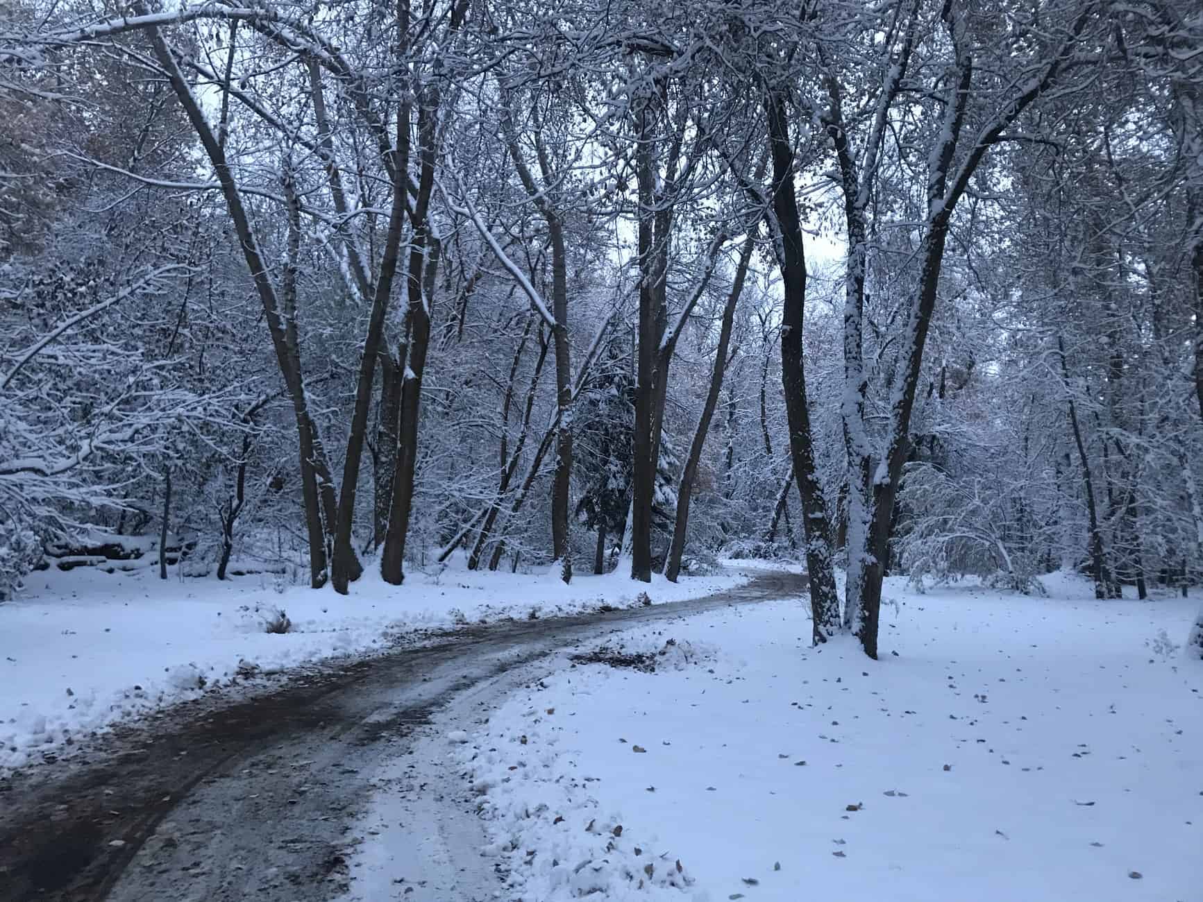 Beus Pond Trail in the winter