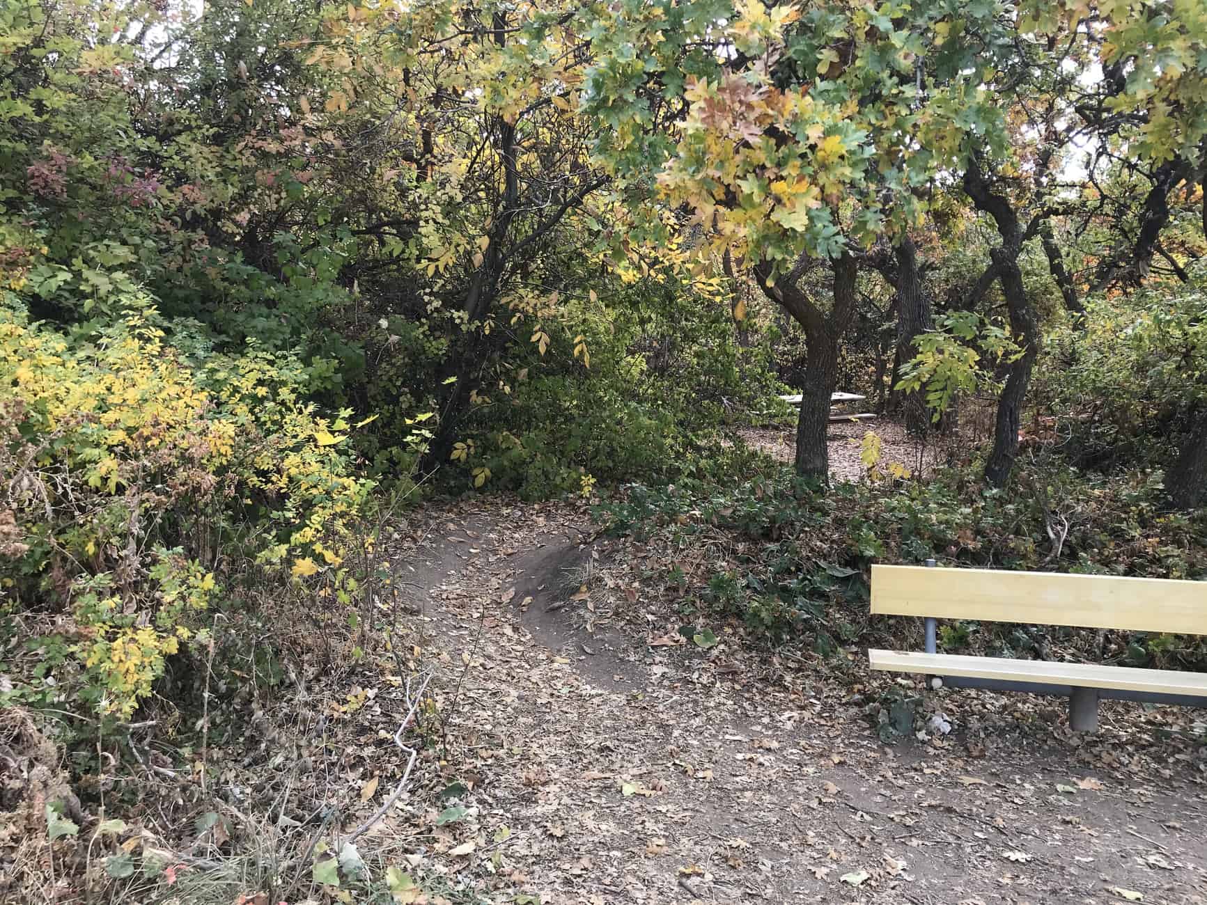 Trail to picnic area