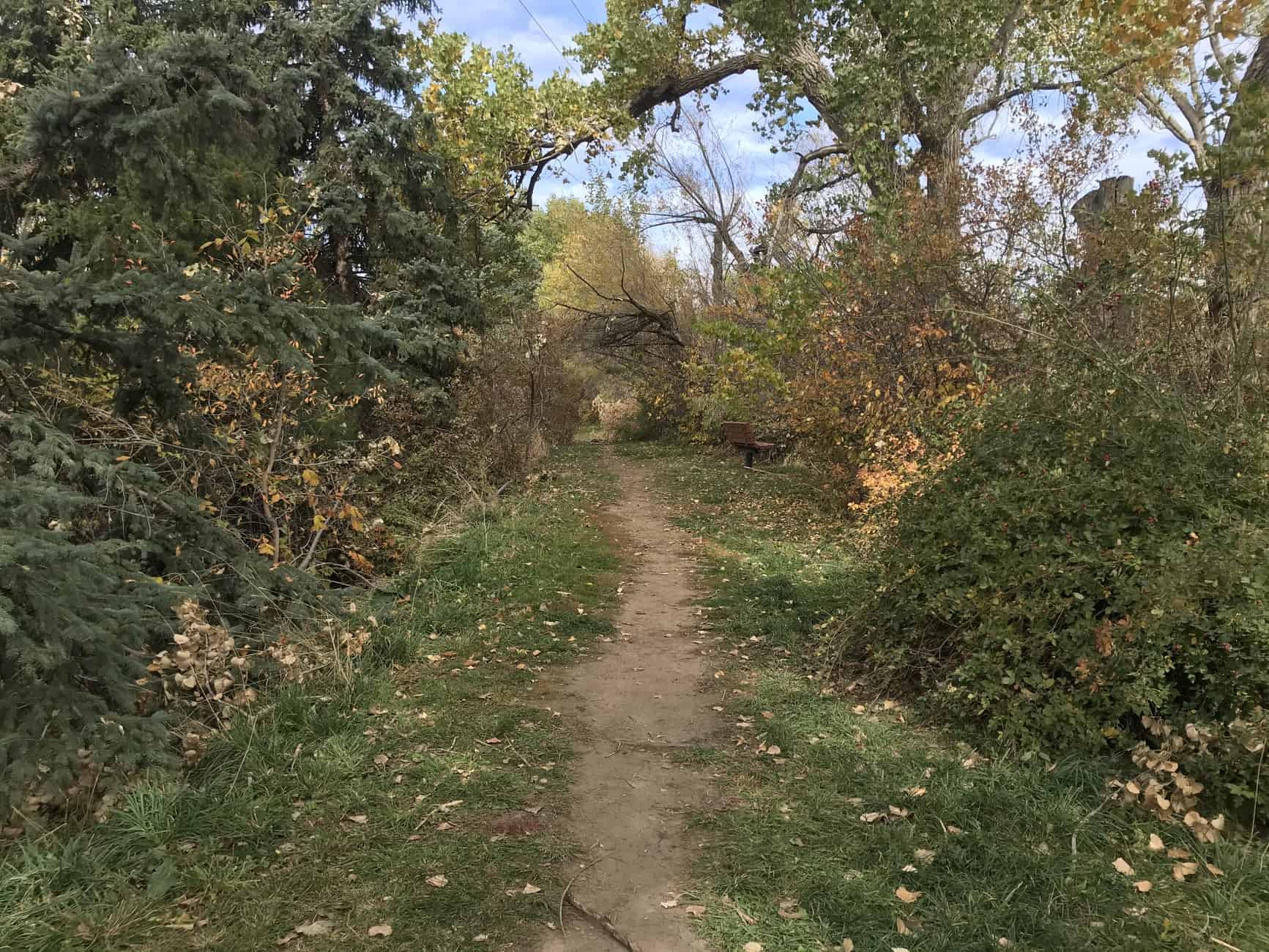 Trail at Beus Pond