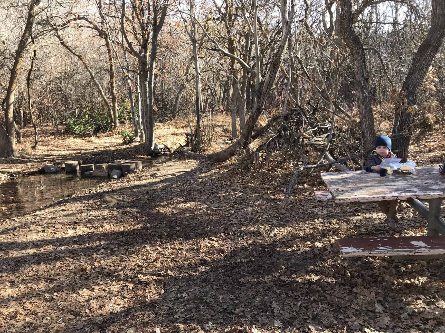 Picnic area at Beus Pond