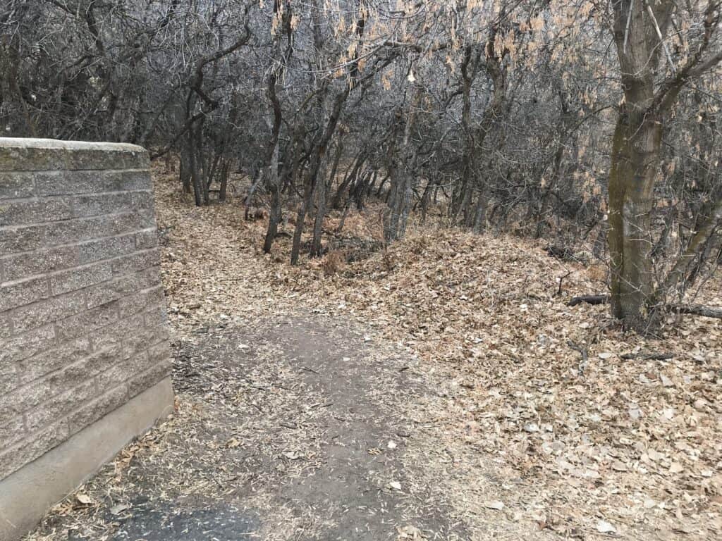 Trail to hidden fort