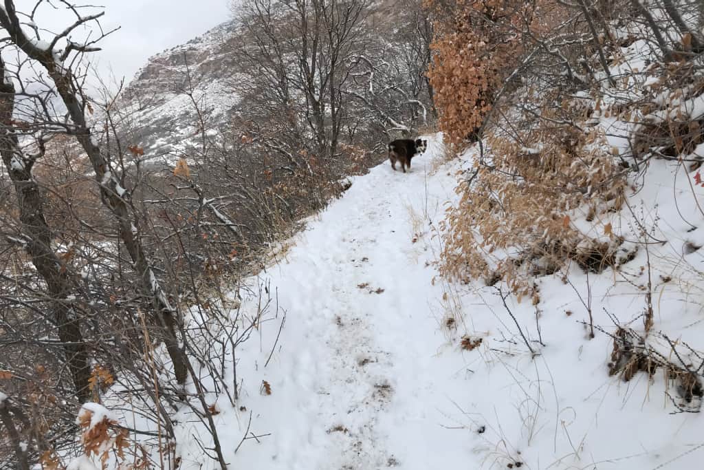 Bonneville Shoreline Trail