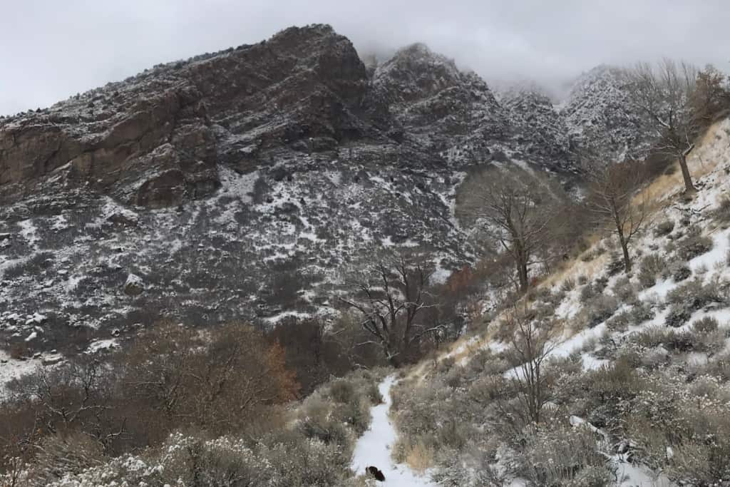 Hiking in Ogden Utah