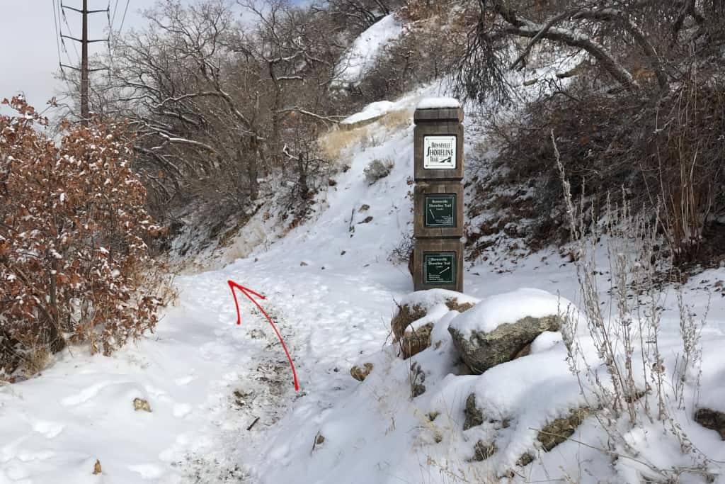 Directions for Ogden Christmas Tree Hike