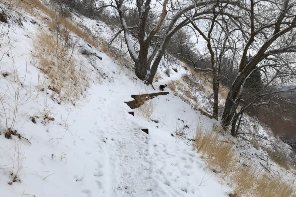 icy portion of trail