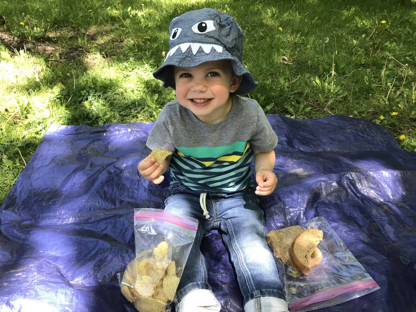little boy eating picnic