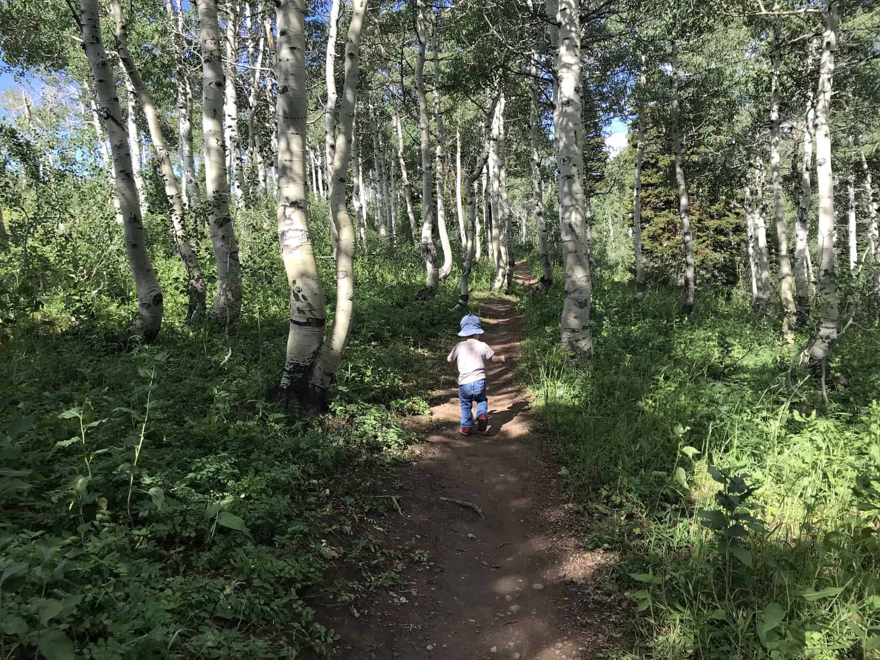 toddler hiking