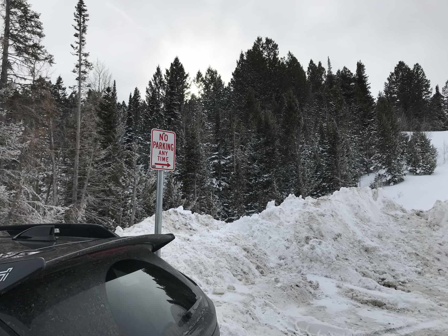 No Parking sign at trailhead of Limber Pine Trail