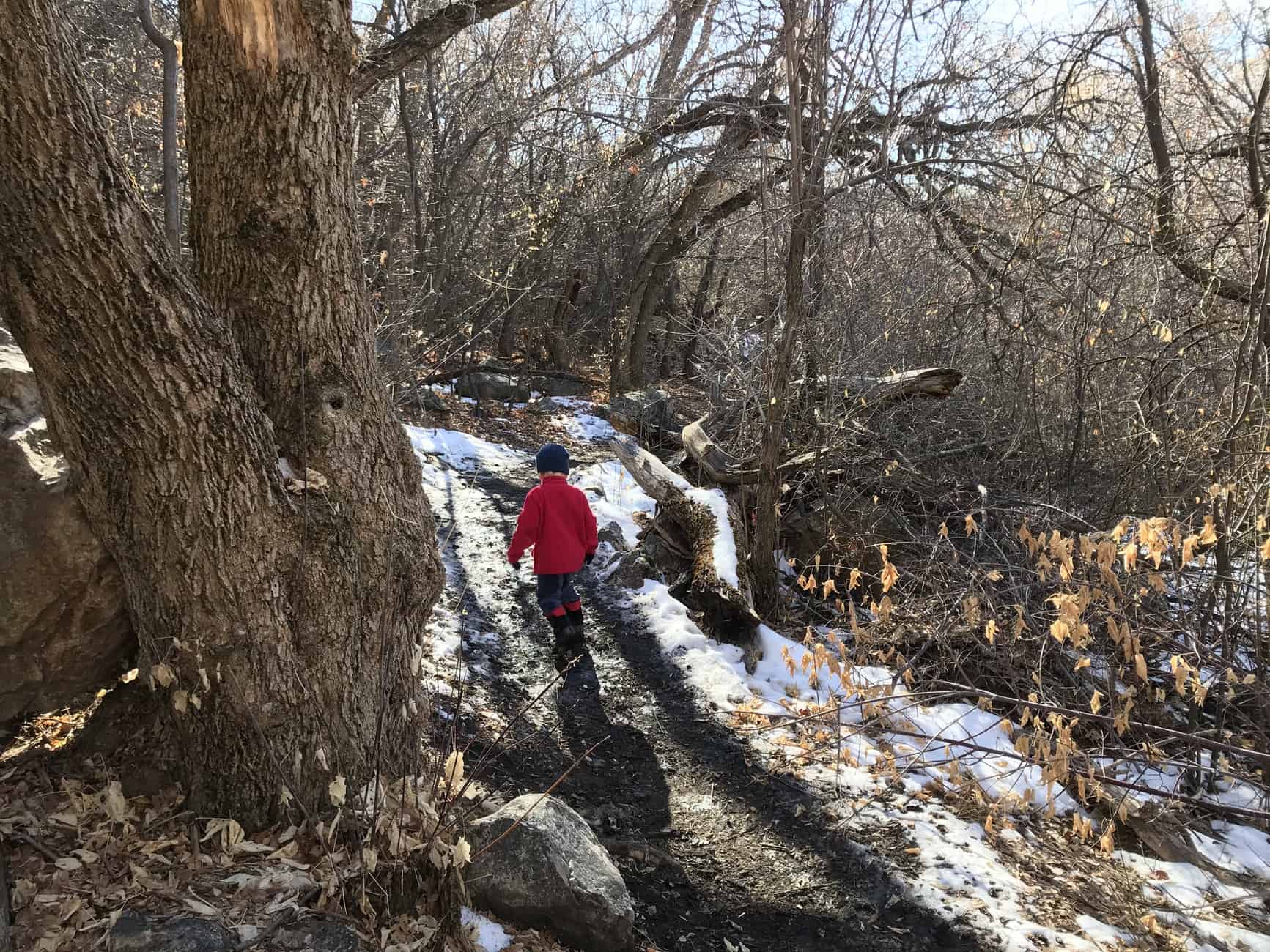 toddler hiking