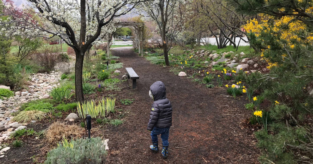 boy in park