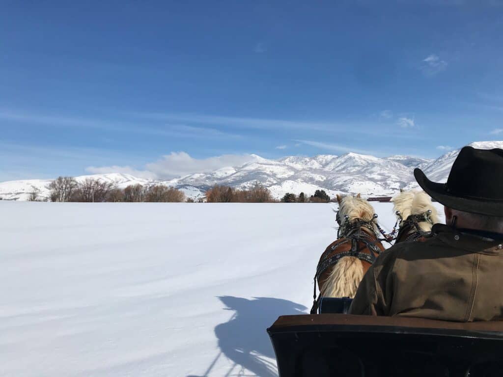 sleigh ride in snow