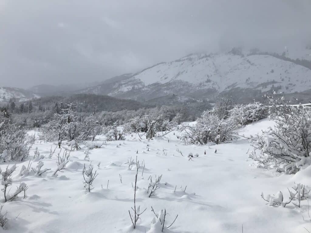 weber county north fork park