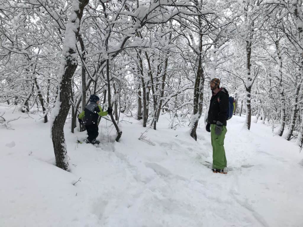 family playing in the snow