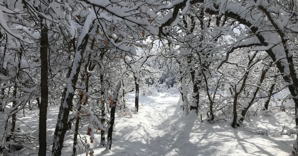Ogden Nordic - Weber County North Fork Park