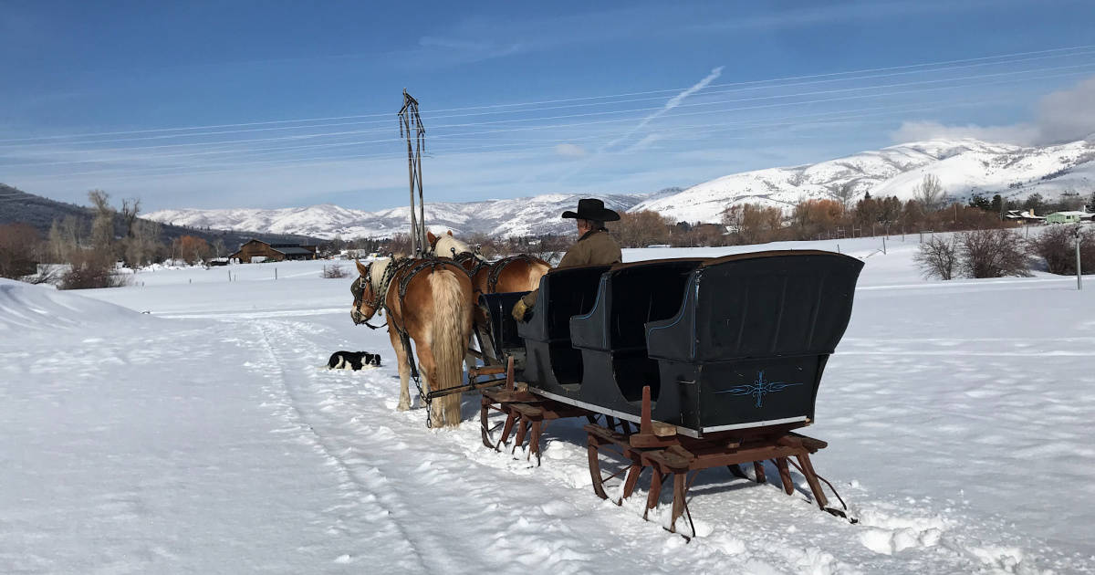 Bailey Sleigh Rides