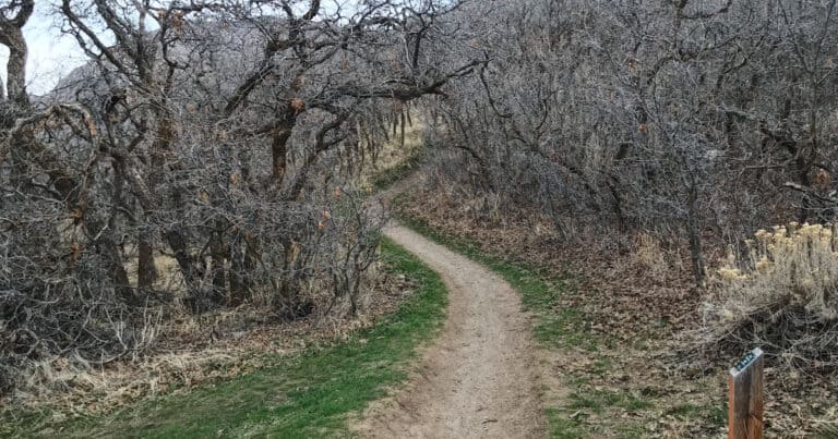 WSU Discovery Loop Trail