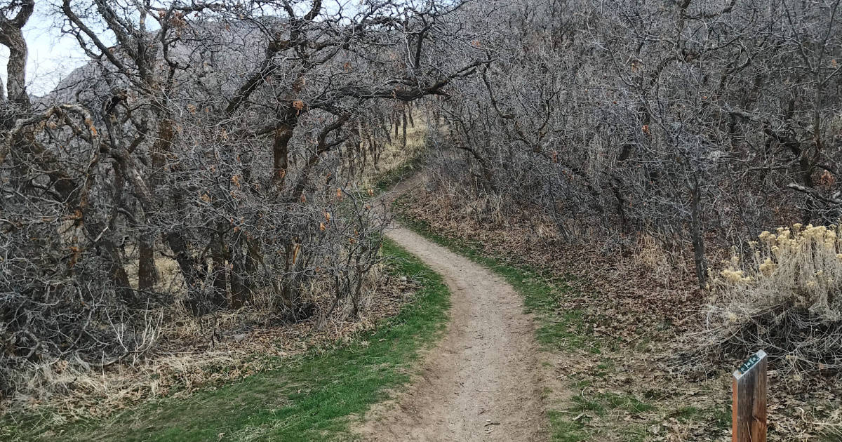 WSU Discovery Loop Trail