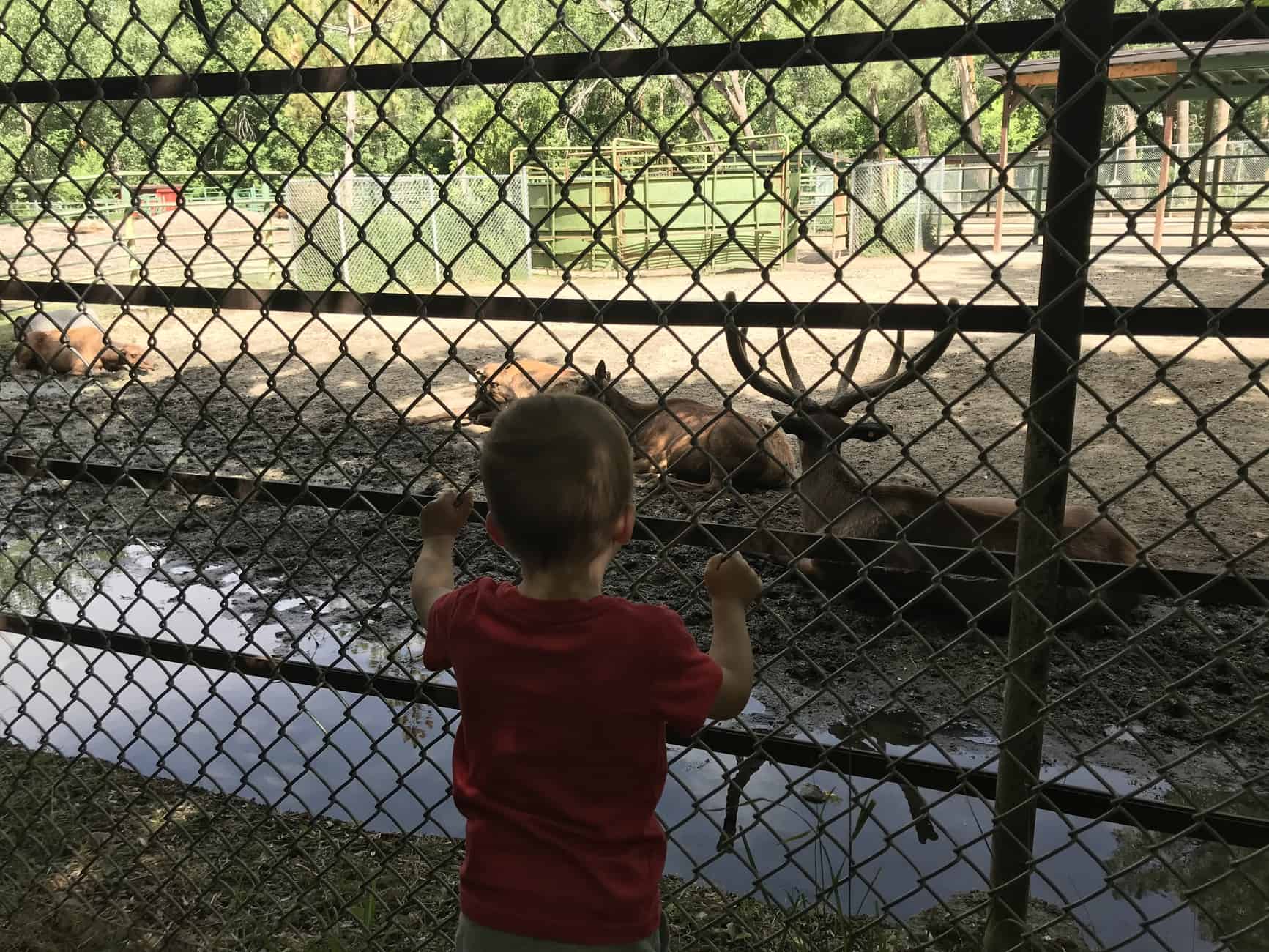 animals at lagoon on lagoon trail