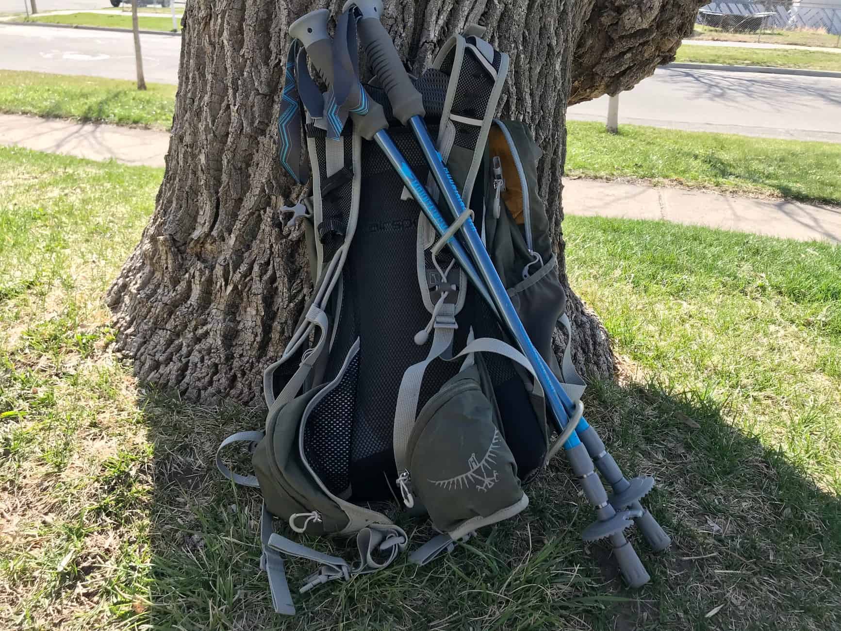 daypack with trekking poles