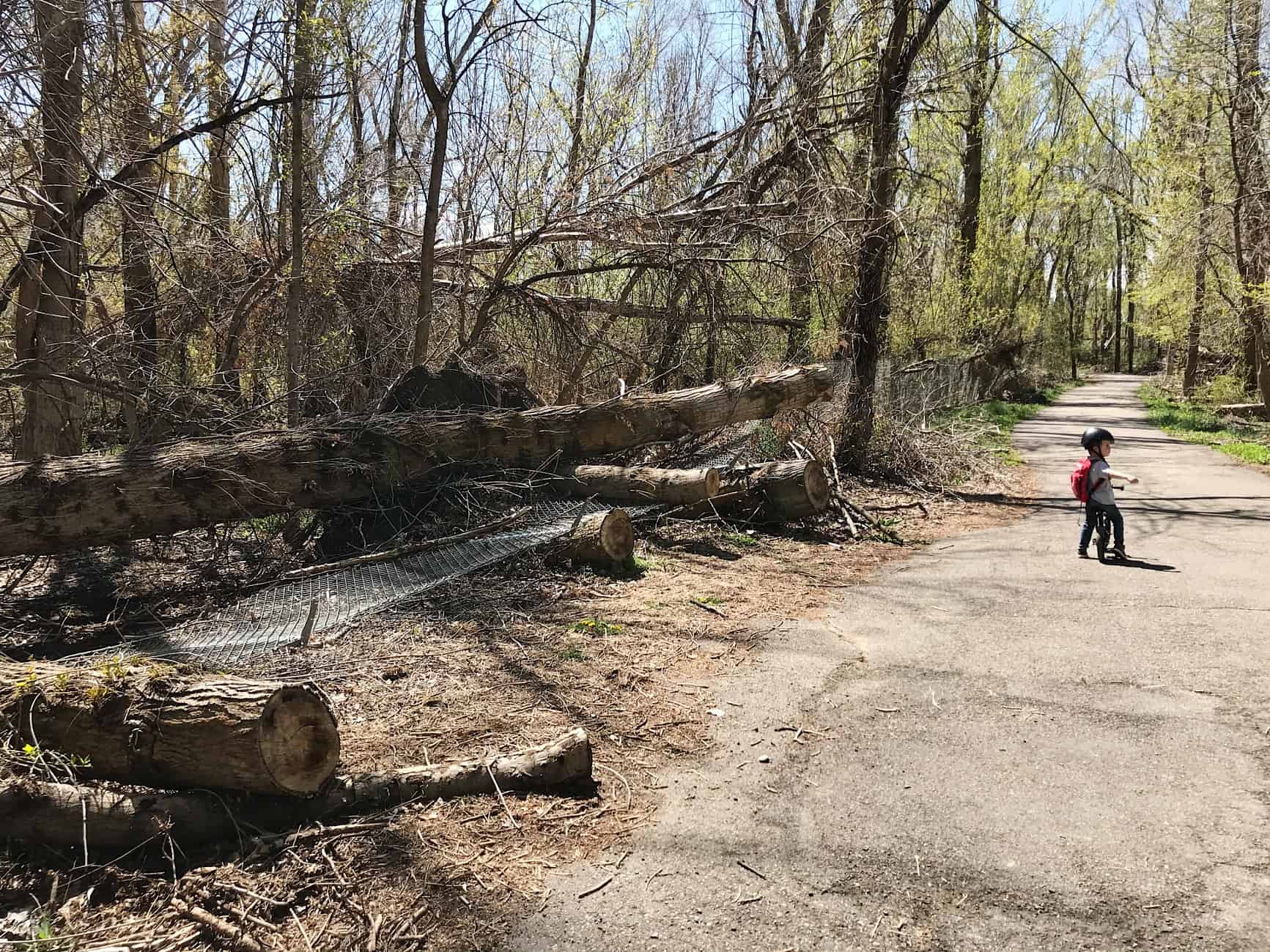 damage to farmington creek trail