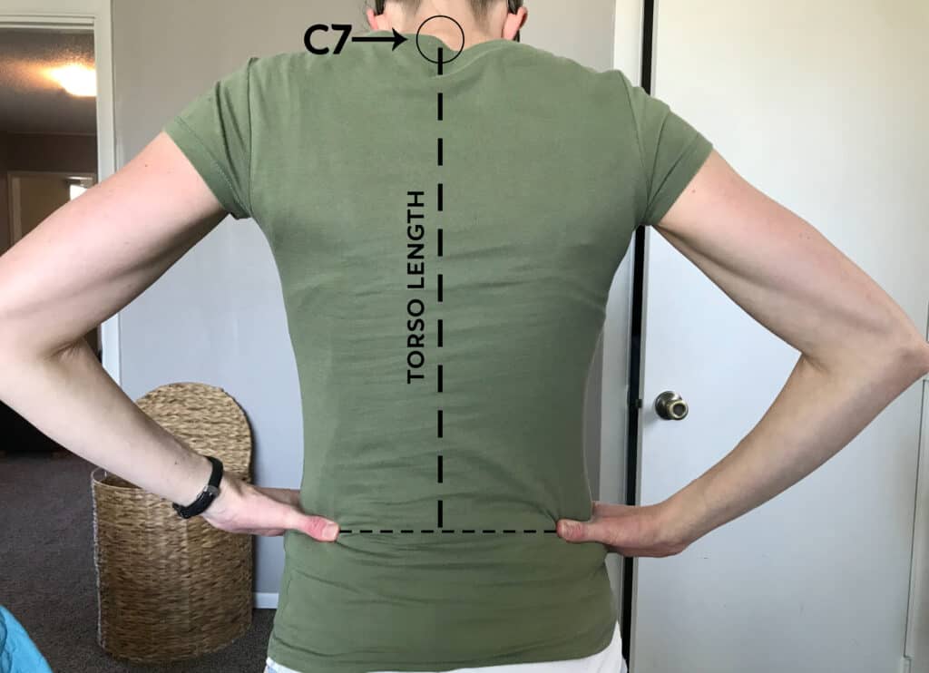 torso measurement