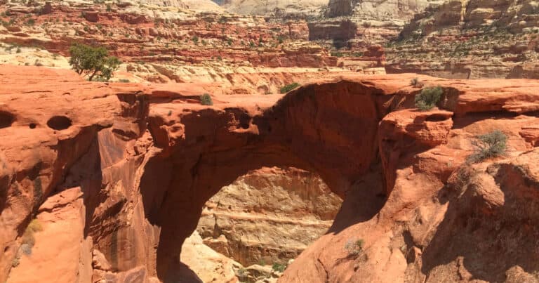 Cassidy Arch Trail