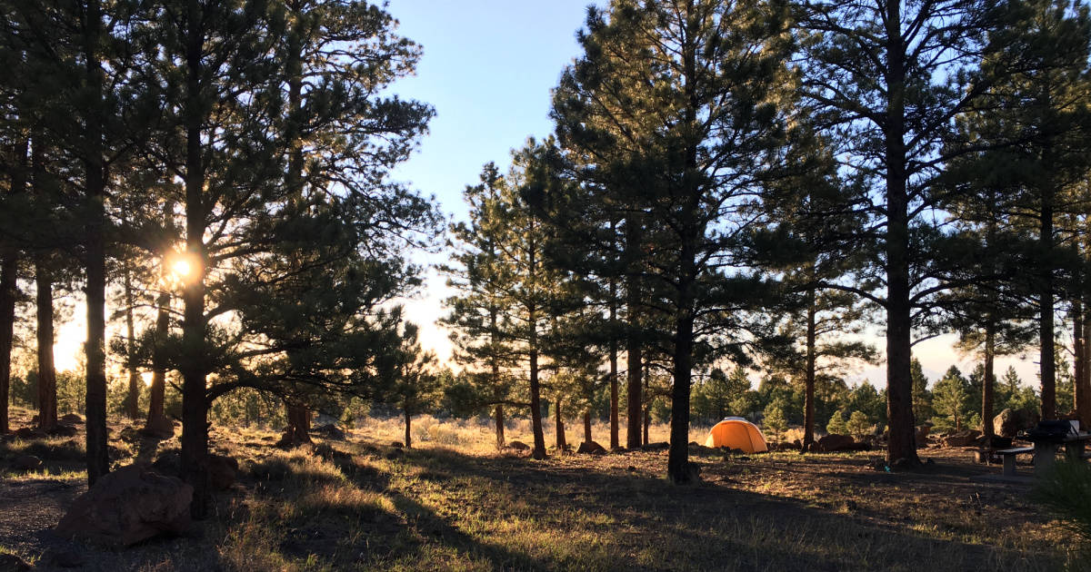 camping with little kids