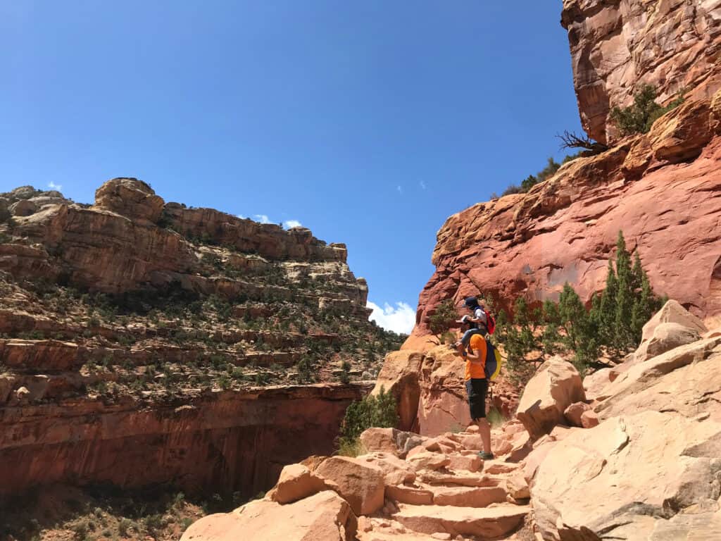 steeps up Cassidy Arch Trail