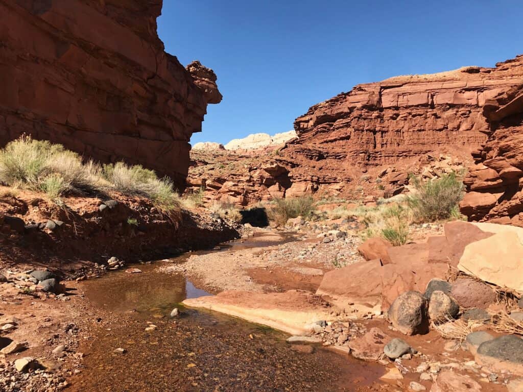 sulphur creek towards visitor center