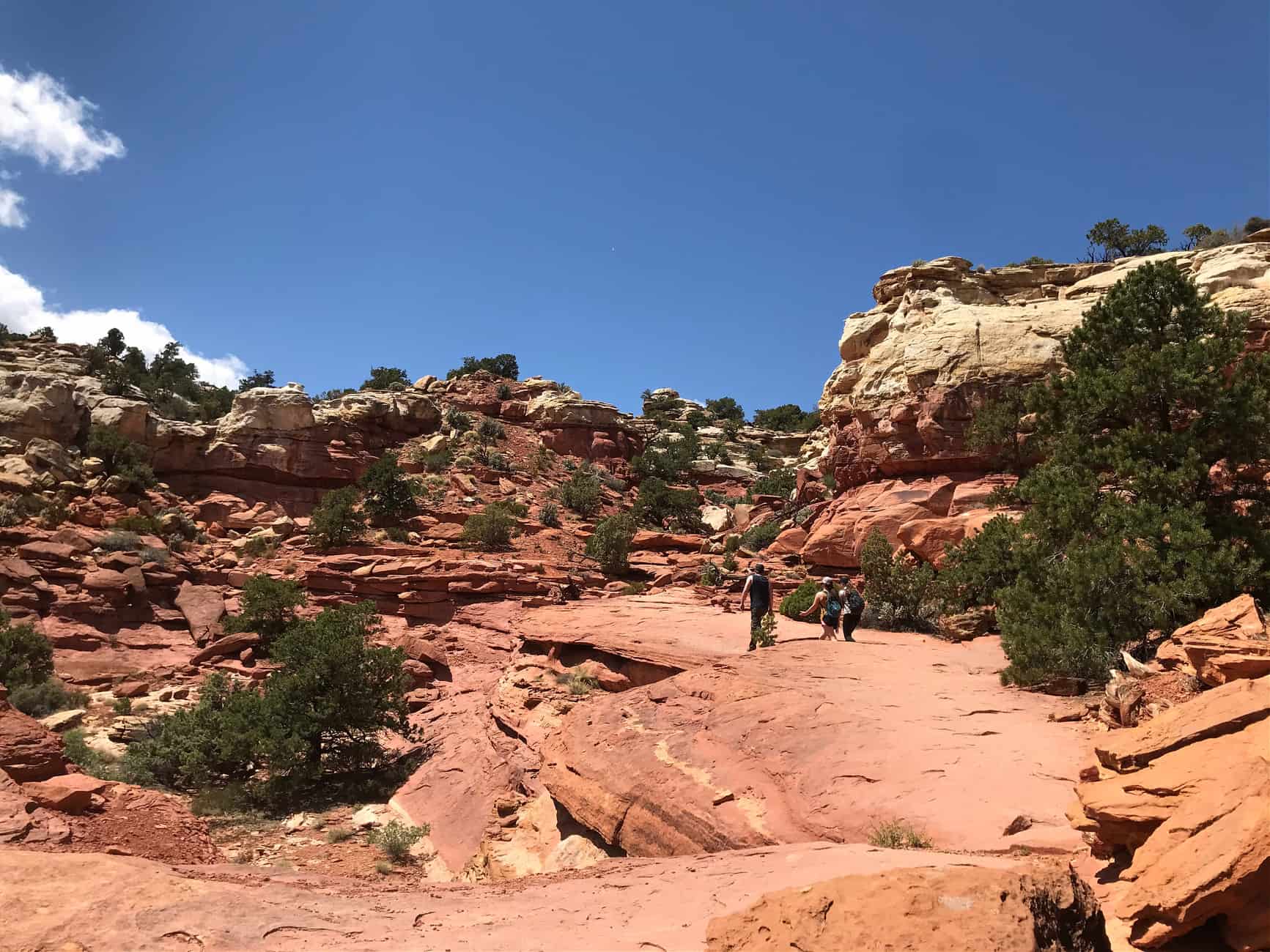 trail to Cassidy Arch