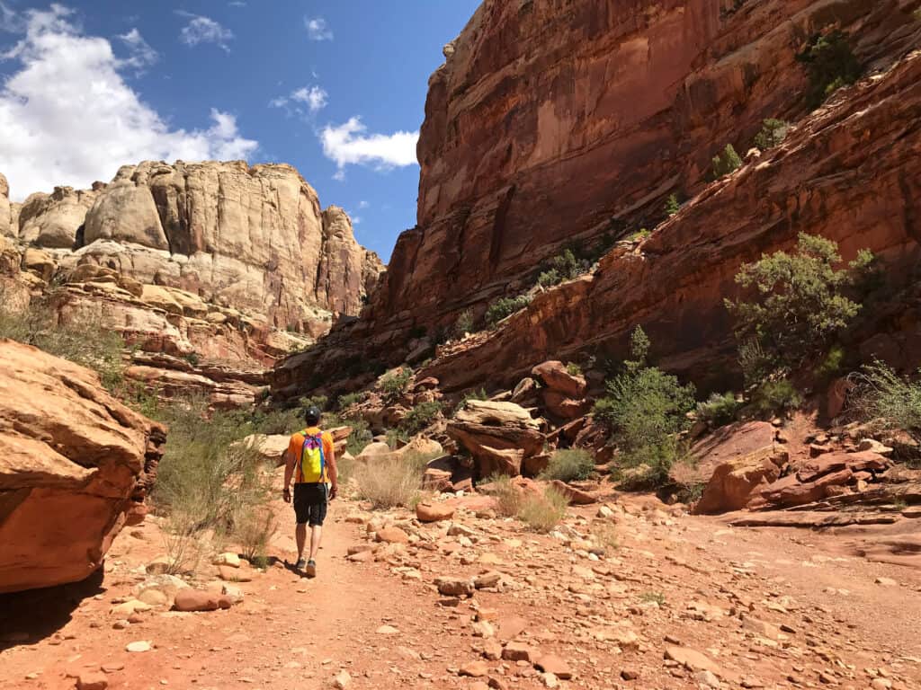 Beginning of Cassidy Arch Trail