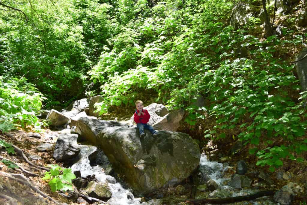 child on rocky mouth falls trail