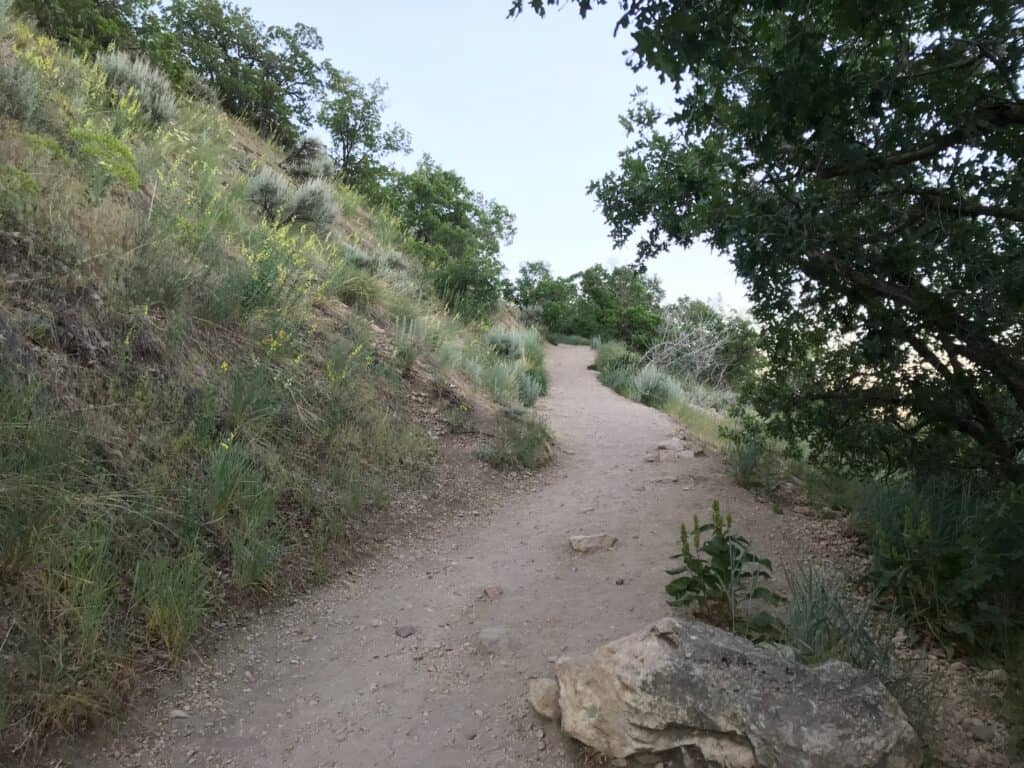 beginning of waterfall canyon trail