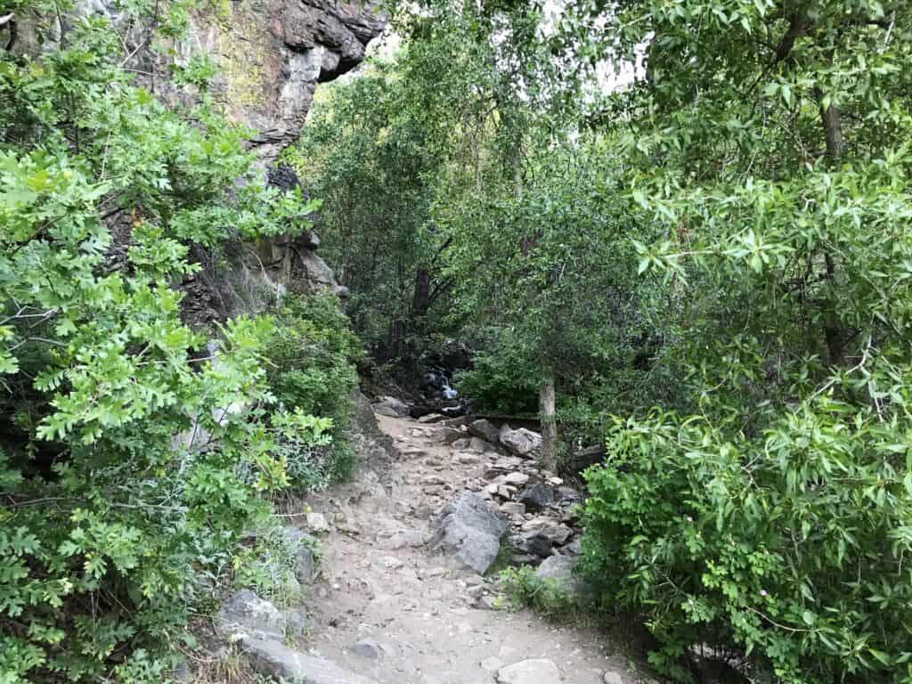 shady part of waterfall canyon trail