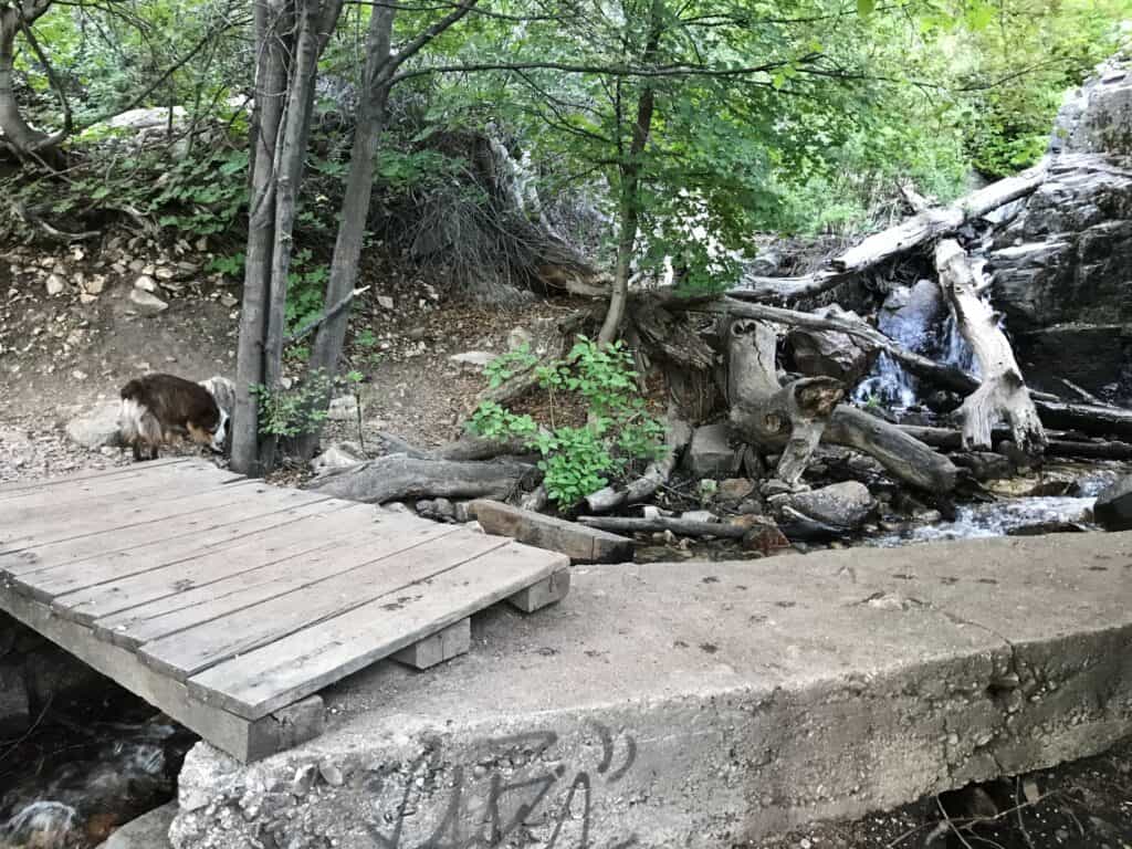 waterfall canyon trail